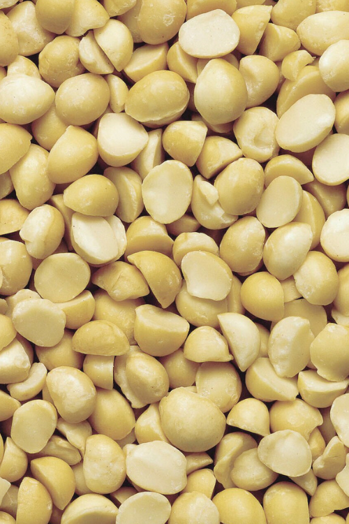 Macadamia nuts